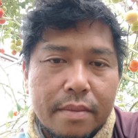 Ronald Sabate