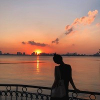 Bao Vu
