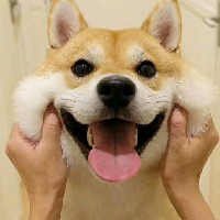 杨洪毅