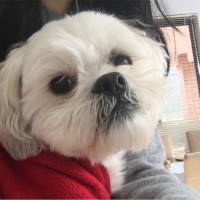 Yumi Yeh