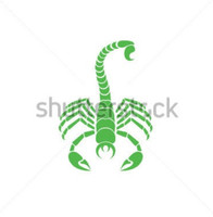 Greenscorpion Moretti