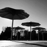 Doron Fishman