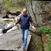 Pietro Eitan Greppi