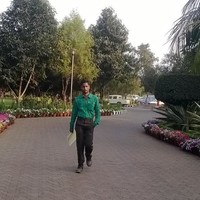Manas l Biswal