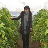 张淑敏