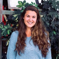 Anneke Van Der Werff