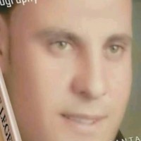 محمود فياض
