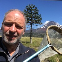 Alfredo Ugarte Peña