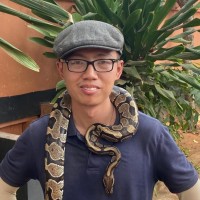 Kingston Lim