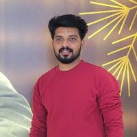 Vimal Vt