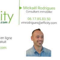 Valery Mickael Rodrigues