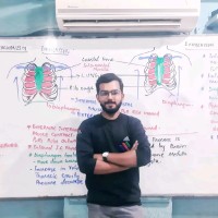 Muhammad Habib Ameen