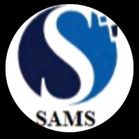 PT Seer Sams Softtech
