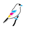 Online Printing Shop