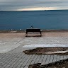 Светлана Шепель