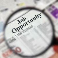 Job Search