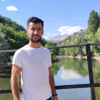 Şahin Şan