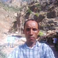 Azeddine El Hamaoui