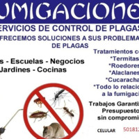 juan rodriguez coronado