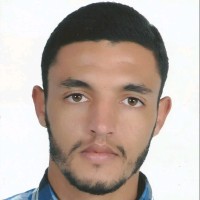 hamza wardi