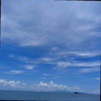 杨亭亭