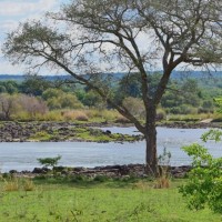 Lourdes Amelia Astudillo Astudillo