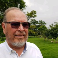 Ronald Vargas Bejarano
