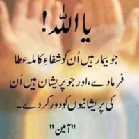 Ali Shagufta