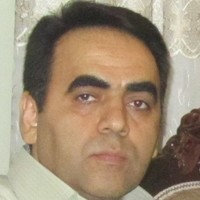 Hassan Hashemi javan