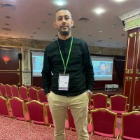 Mohamed Zied Djebbi