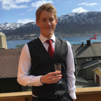 Martin Skognes