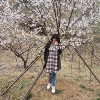 金丽莉