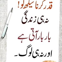 Rasheed Shafiq