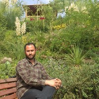 Mohammad Ghafari