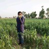 Khodo Rawaria