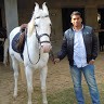 Naveen Sisodiya