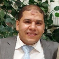 Aly Araby