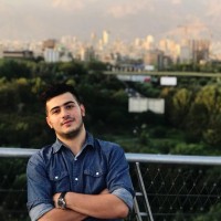 Amir Hossein Fallah Nasab
