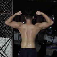 袁嘉鸿