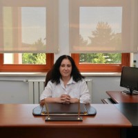 Didem Çevik