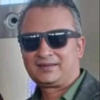 Dipankar Roy