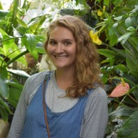 Miranda Green