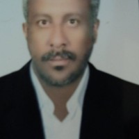 Eltayeb Hamad Mansour