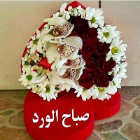 adnan hashem