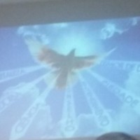 Maria Aparecida Marcelo Gomes.