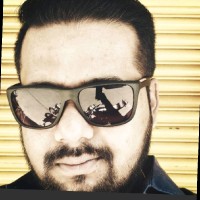 Kaushik B