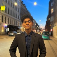 Raul Ilma Rajasa
