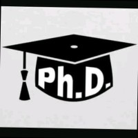 PhD Thesis Writing Work