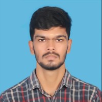 Ramanisankar V