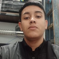 Jorge Andres Vigo Aleman